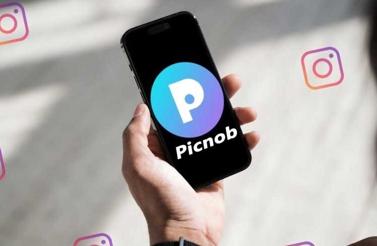 A Comprehensive Review of Picnob