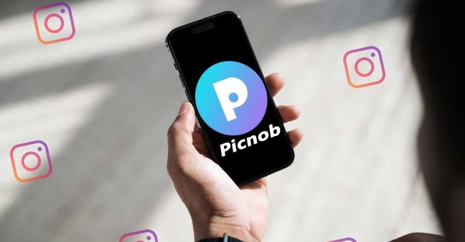 A Comprehensive Review of Picnob
